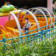 Image for article titled Hong Kong Disneyland is closing again, of course